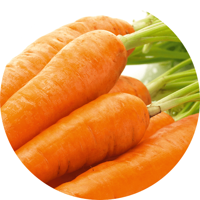 Extrait de carotte