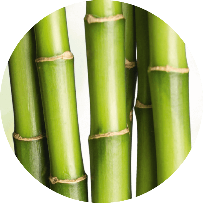 Organic bamboo extract