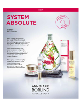 SYSTEM ABSOLUTE light